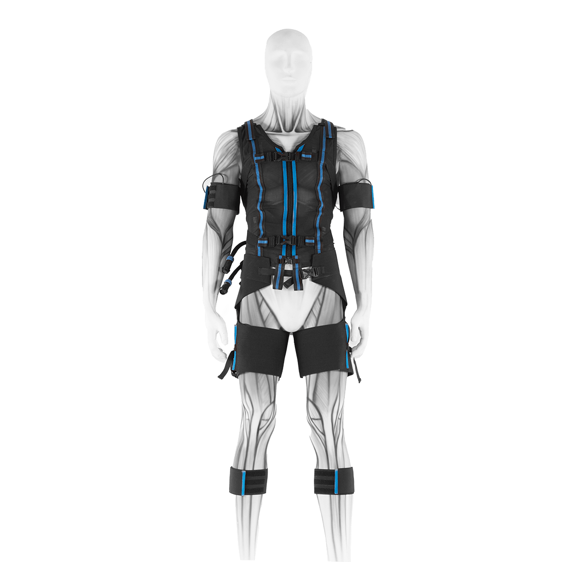 EFIT_TW31_complete-set-with-straps_front.png